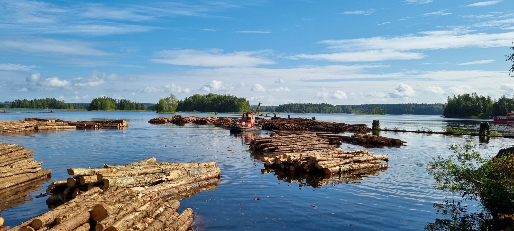 Kesäinen järvi. Järvessä kelluu tukkeja ja pieni alus.